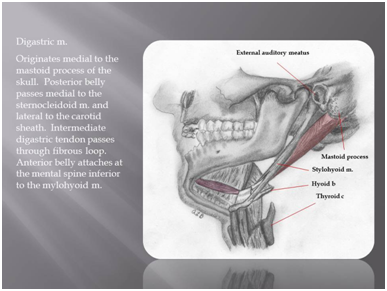 EduCase Residency Program Resource Image 01